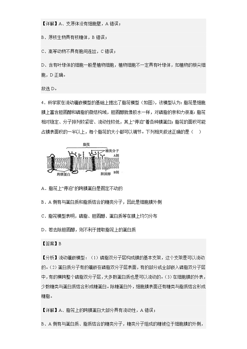 2022-2023学年山东省济南市章丘区高三上学期诊断性测试生物试题含解析03