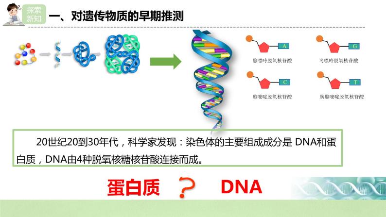 【核心素养】人教版高中生物必修二3.1《DNA是主要的遗传物质》课件PPT+教案+练习05