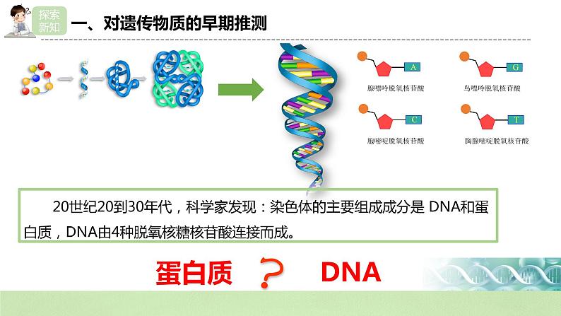 【核心素养】人教版高中生物必修二3.1《DNA是主要的遗传物质》课件PPT+教案+练习05