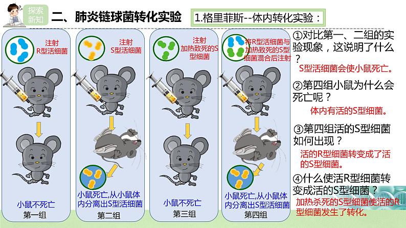 【核心素养】人教版高中生物必修二3.1《DNA是主要的遗传物质》课件PPT+教案+练习07