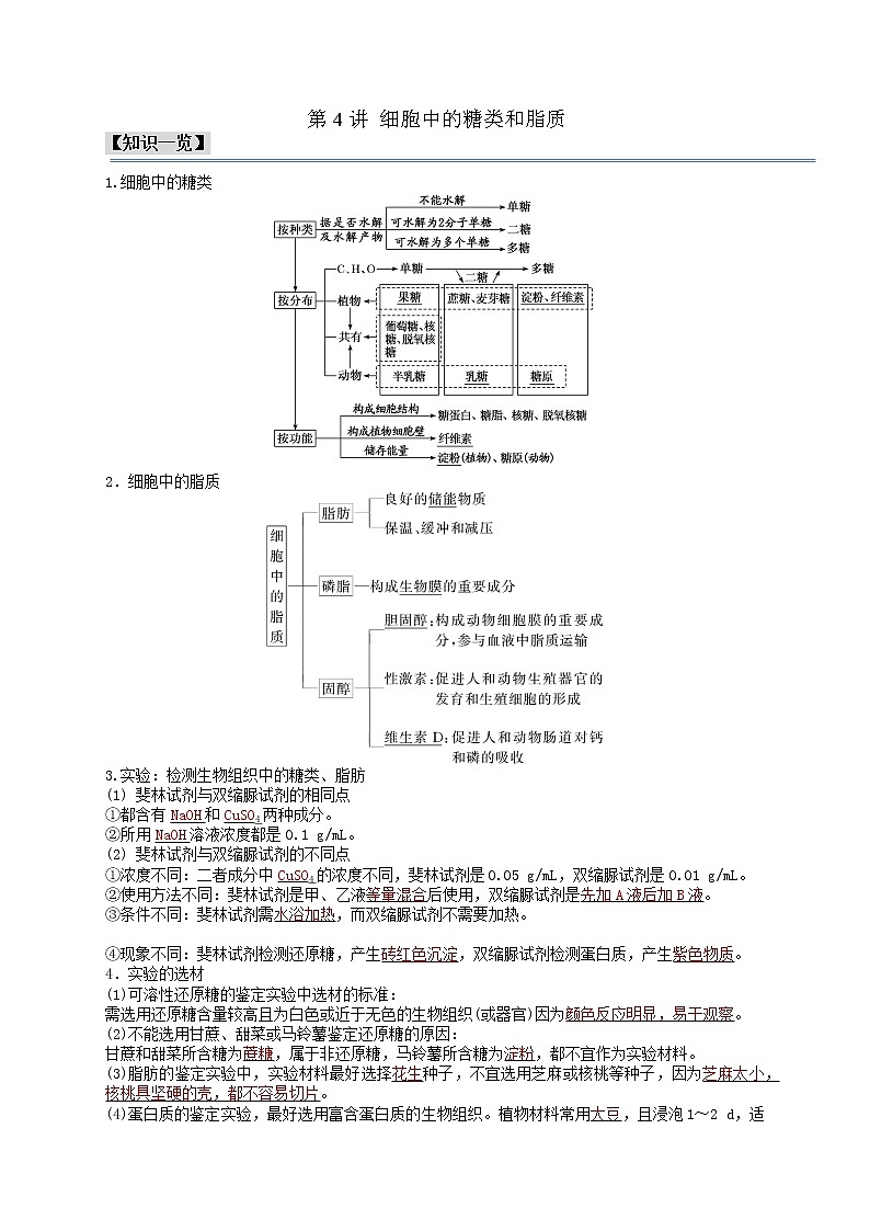 第4讲 细胞中的糖类和脂质-【分类归纳】最新高一生物考法和题型分类精讲（人教版2019必修1）01