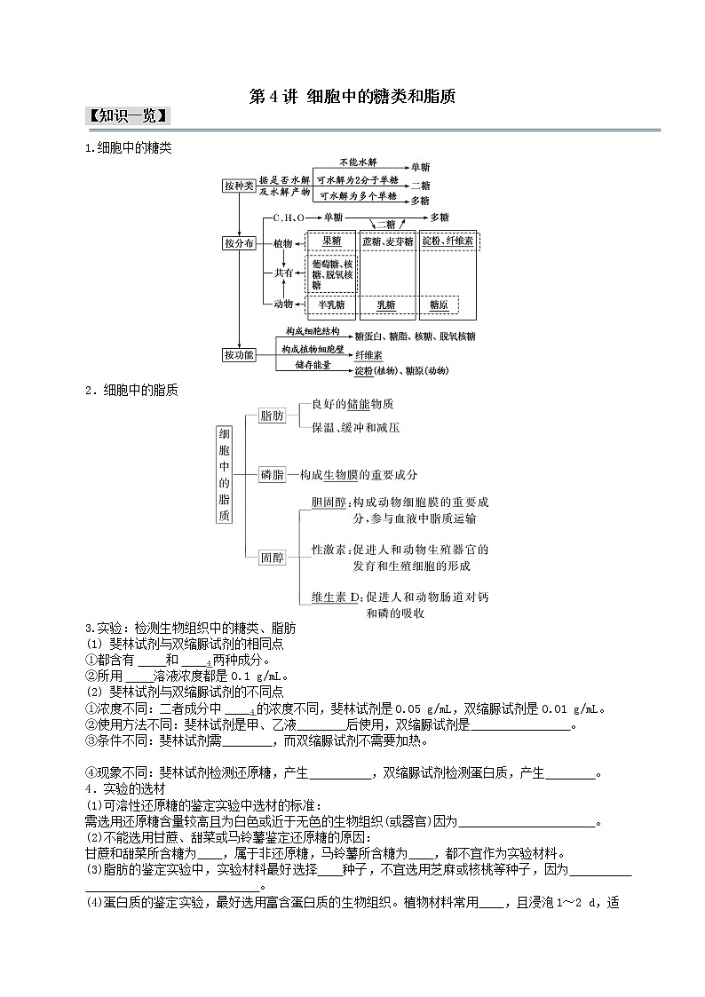 第4讲 细胞中的糖类和脂质-【分类归纳】最新高一生物考法和题型分类精讲（人教版2019必修1）01