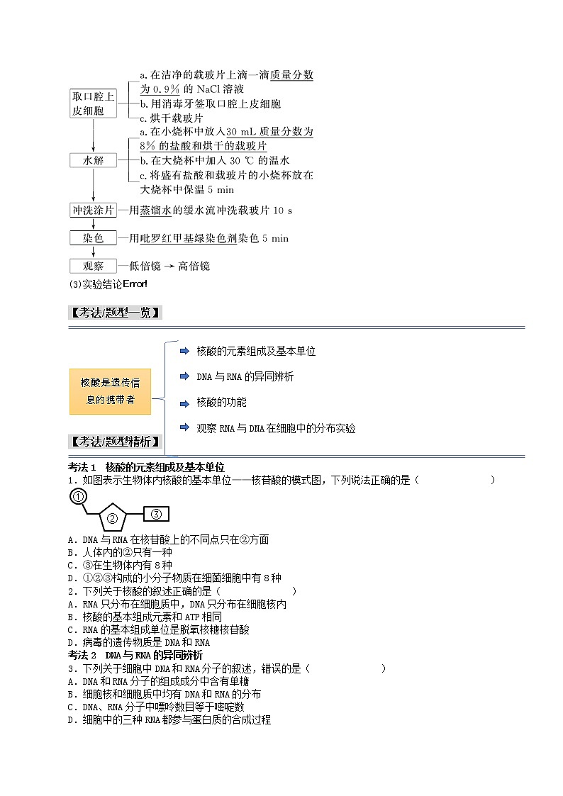 第6讲 核酸是遗传信息的携带者-【分类归纳】最新高一生物考法和题型分类精讲（人教版2019必修1）02