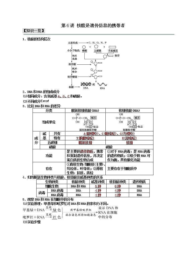 第6讲 核酸是遗传信息的携带者-【分类归纳】最新高一生物考法和题型分类精讲（人教版2019必修1）01