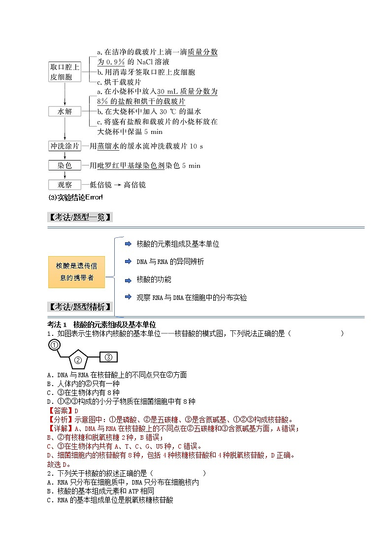 第6讲 核酸是遗传信息的携带者-【分类归纳】最新高一生物考法和题型分类精讲（人教版2019必修1）02