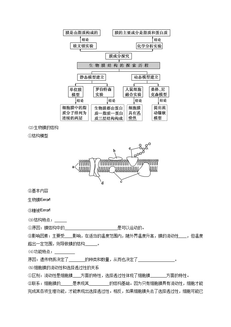 第7讲 细胞膜的结构和功能-【分类归纳】最新高一生物考法和题型分类精讲（人教版2019必修1）02