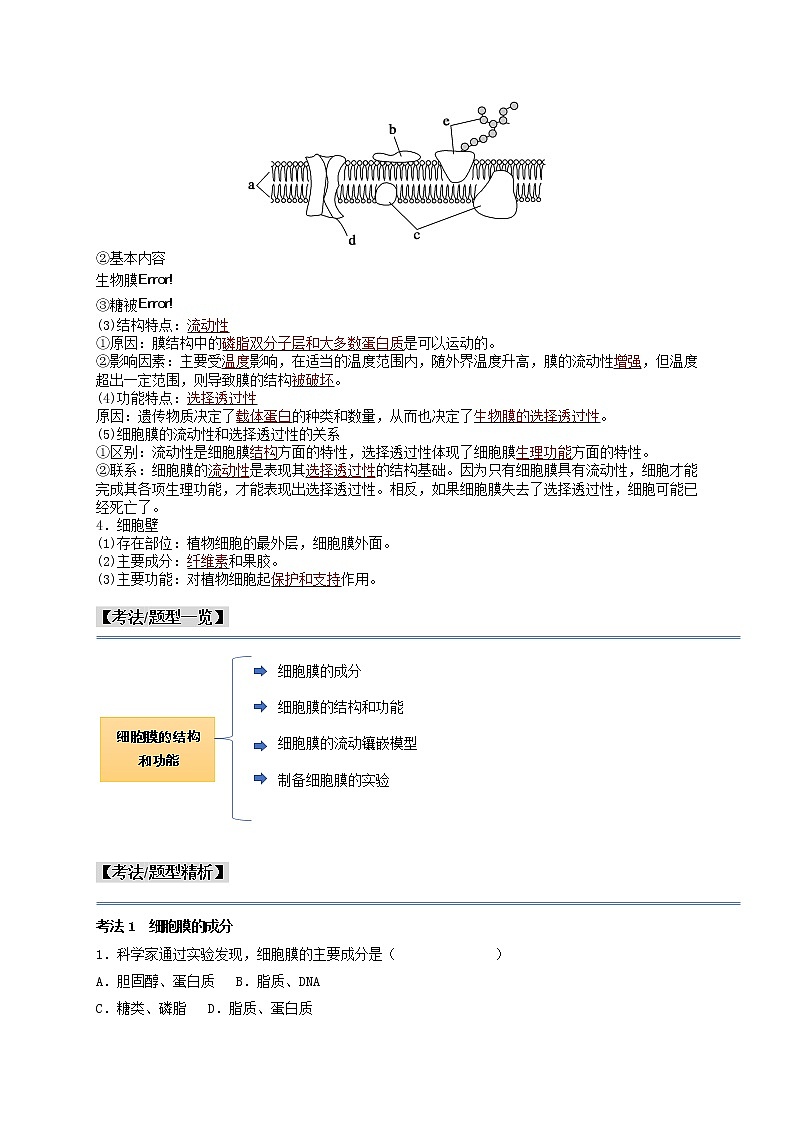 第7讲 细胞膜的结构和功能-【分类归纳】最新高一生物考法和题型分类精讲（人教版2019必修1）02