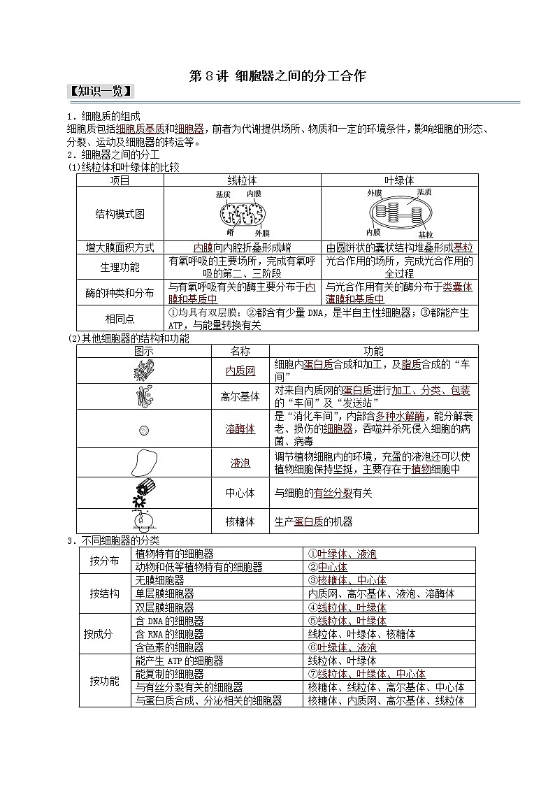 第8讲 细胞器之间的分工合作-【分类归纳】最新高一生物考法和题型分类精讲（人教版2019必修1）01