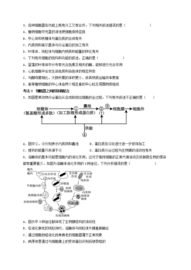 第8讲 细胞器之间的分工合作-【分类归纳】最新高一生物考法和题型分类精讲（人教版2019必修1）03