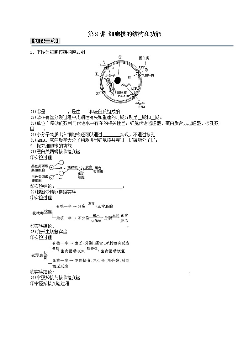第9讲 细胞核的结构和功能（原卷版）-【分类归纳】2022-2023学年高一生物考法和题型分类精讲（人教版2019必修1）第1页
