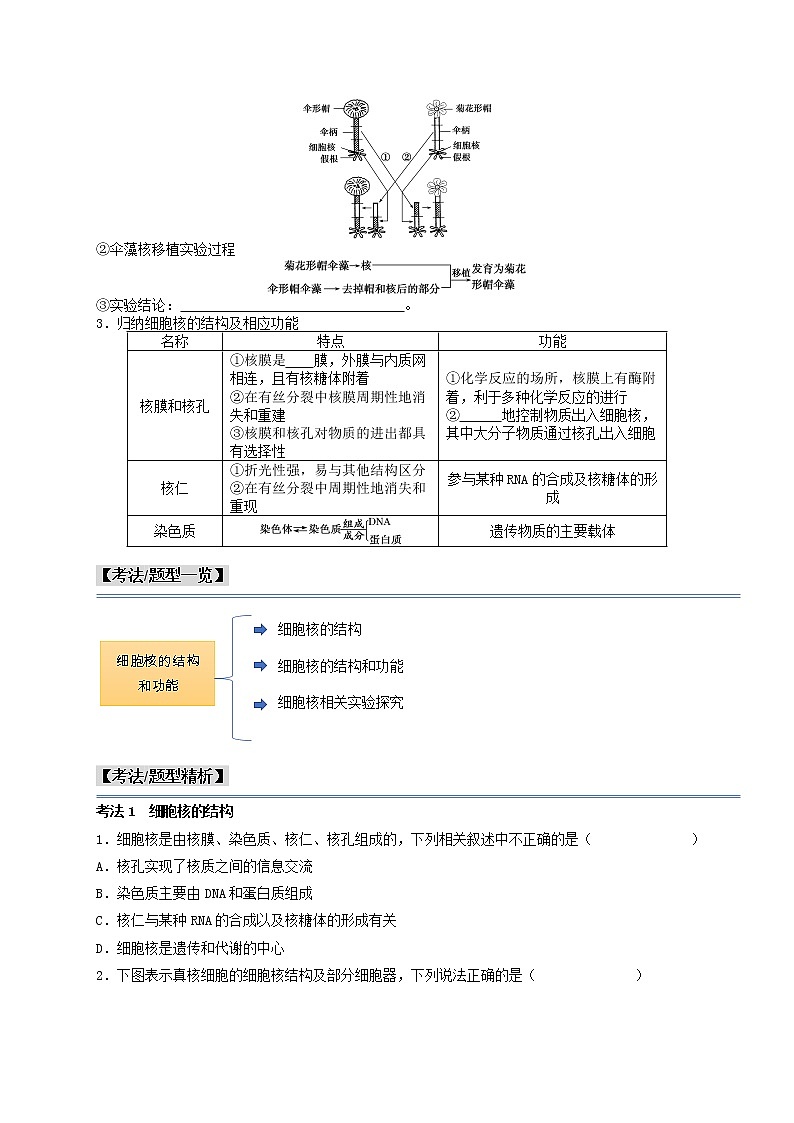 第9讲 细胞核的结构和功能（原卷版）-【分类归纳】2022-2023学年高一生物考法和题型分类精讲（人教版2019必修1）第2页