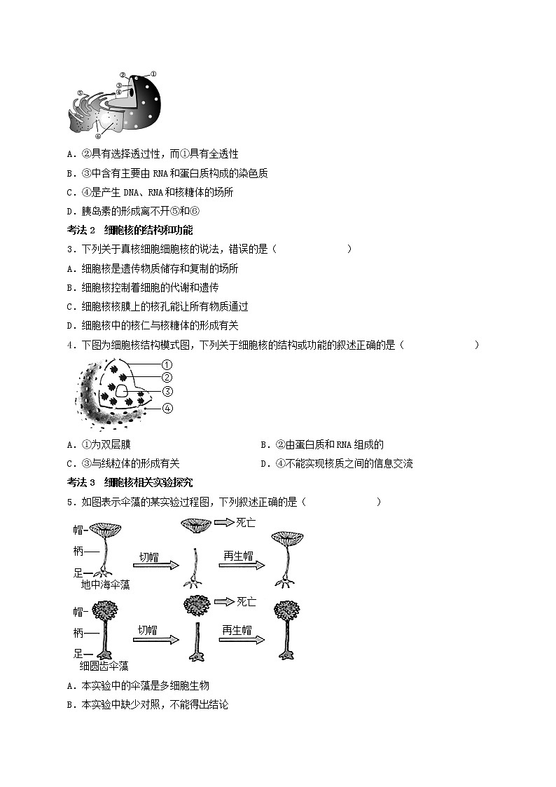 第9讲 细胞核的结构和功能（原卷版）-【分类归纳】2022-2023学年高一生物考法和题型分类精讲（人教版2019必修1）第3页