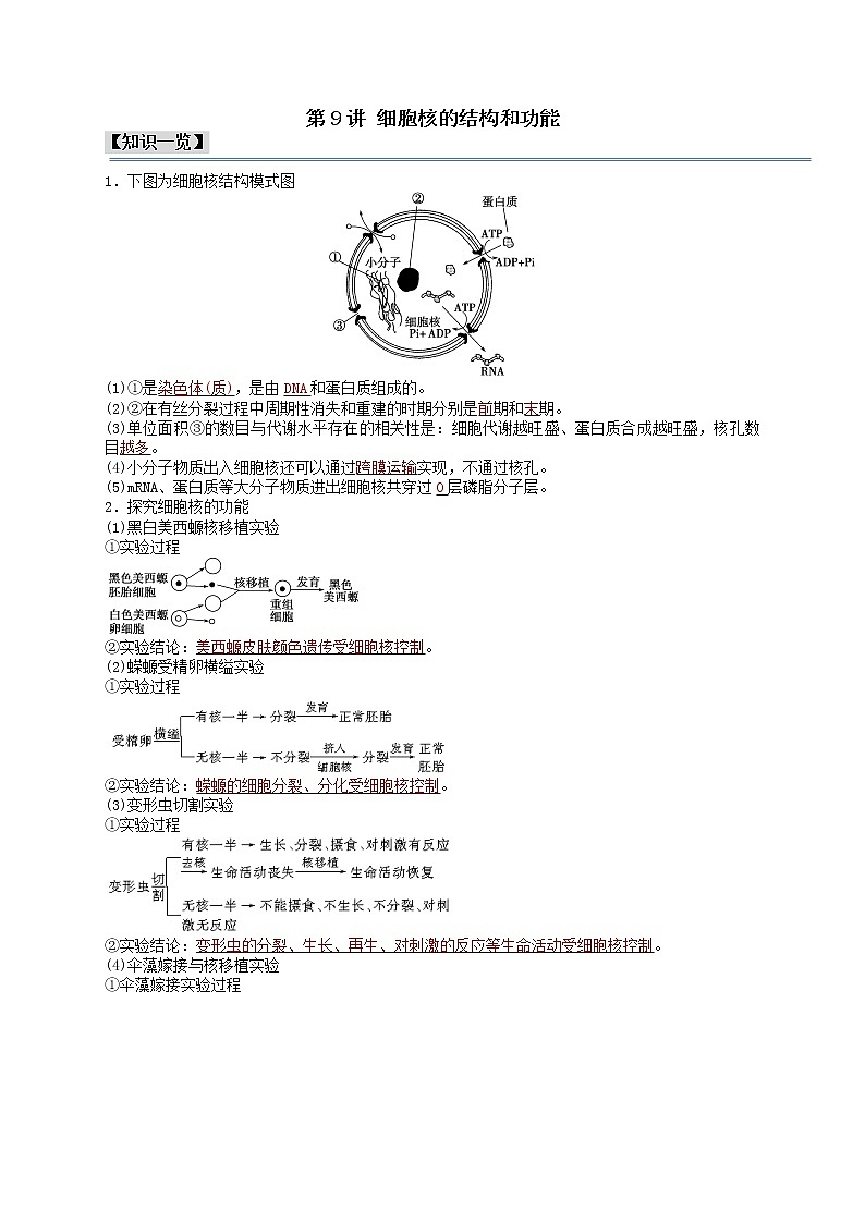 第9讲 细胞核的结构和功能（解析版）-【分类归纳】2022-2023学年高一生物考法和题型分类精讲（人教版2019必修1）第1页