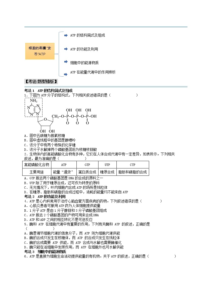 第13讲 细胞的能量“货币”ATP-【分类归纳】最新高一生物考法和题型分类精讲（人教版2019必修1）02