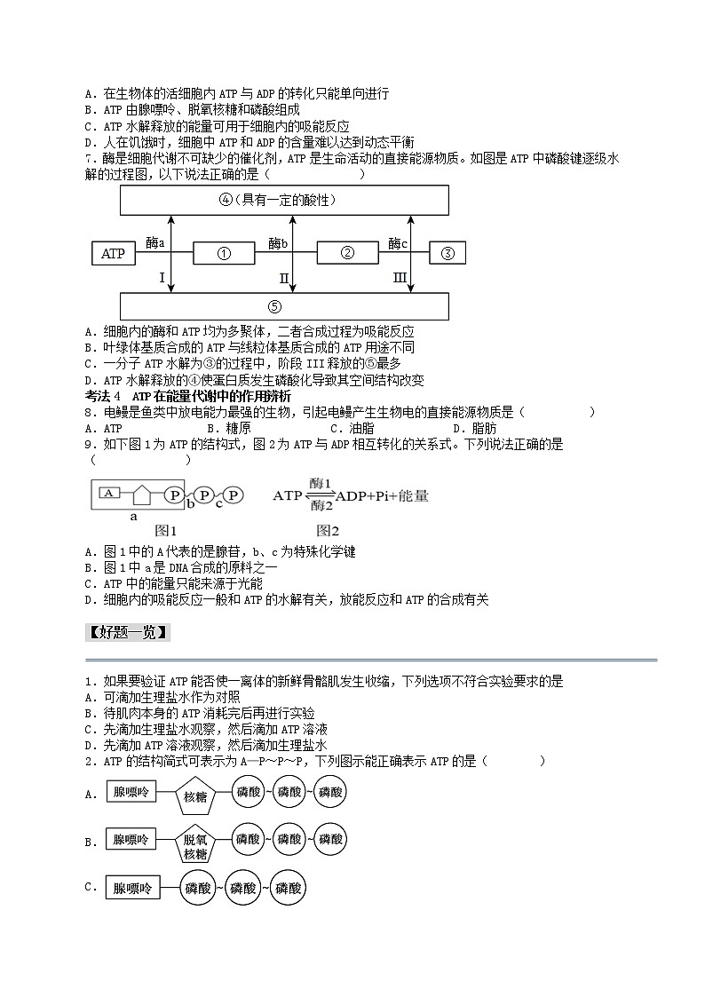 第13讲 细胞的能量“货币”ATP-【分类归纳】最新高一生物考法和题型分类精讲（人教版2019必修1）03