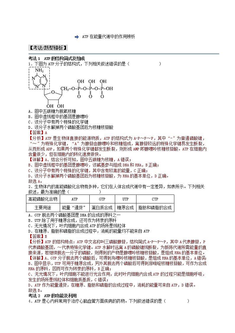 第13讲 细胞的能量“货币”ATP-【分类归纳】最新高一生物考法和题型分类精讲（人教版2019必修1）02