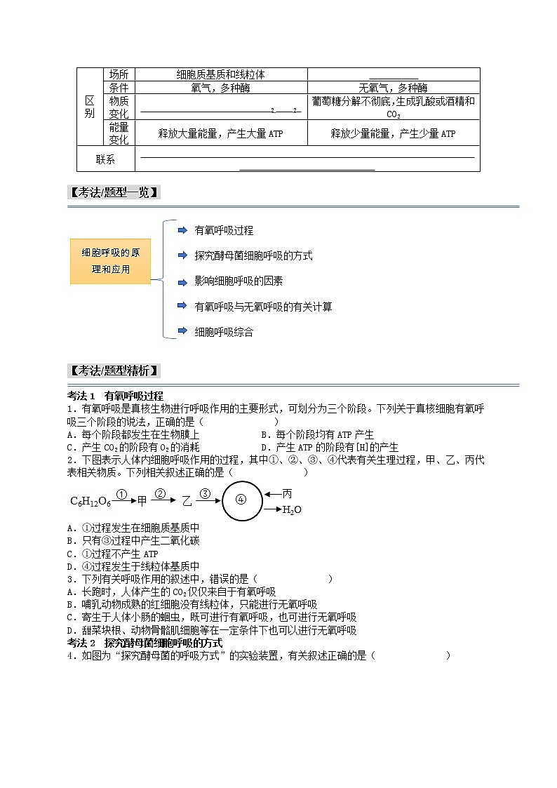 第14讲 细胞呼吸的原理和应用-【分类归纳】最新高一生物考法和题型分类精讲（人教版2019必修1）02