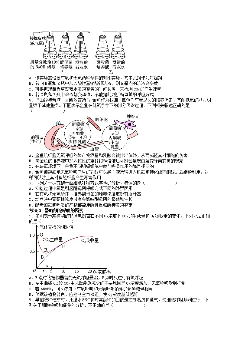 第14讲 细胞呼吸的原理和应用-【分类归纳】最新高一生物考法和题型分类精讲（人教版2019必修1）03