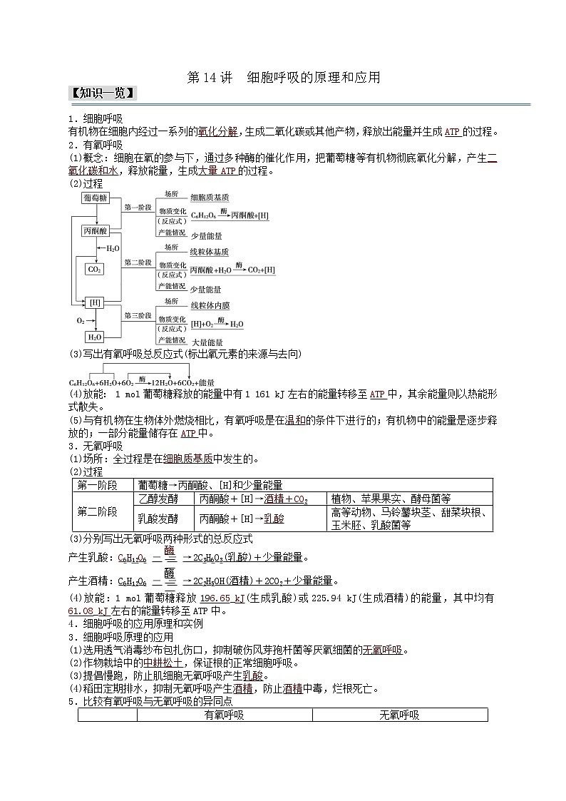 第14讲 细胞呼吸的原理和应用-【分类归纳】最新高一生物考法和题型分类精讲（人教版2019必修1）01