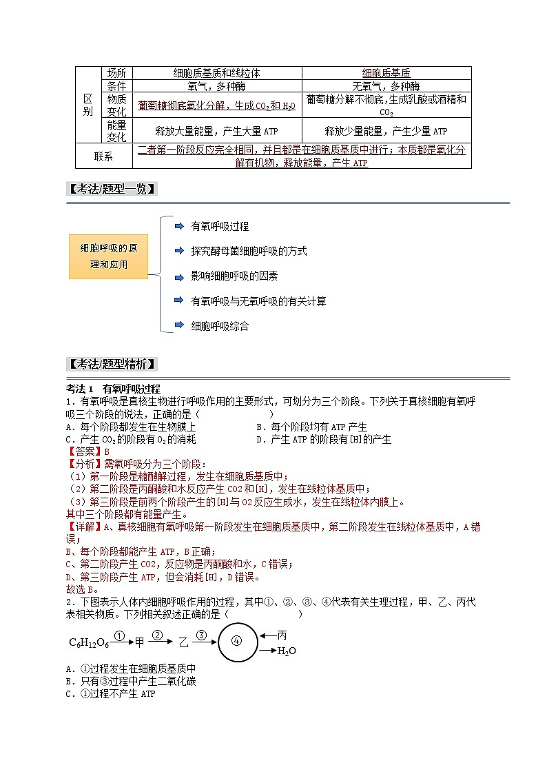 第14讲 细胞呼吸的原理和应用-【分类归纳】最新高一生物考法和题型分类精讲（人教版2019必修1）02