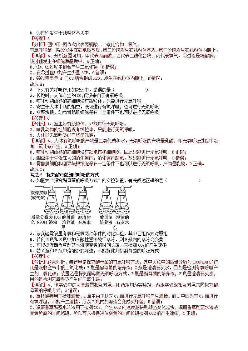 第14讲 细胞呼吸的原理和应用-【分类归纳】最新高一生物考法和题型分类精讲（人教版2019必修1）03