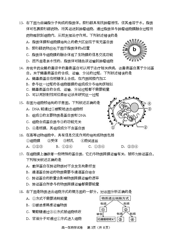 辽宁省大连市2022-2023学年高一上学期期末生物试卷第3页