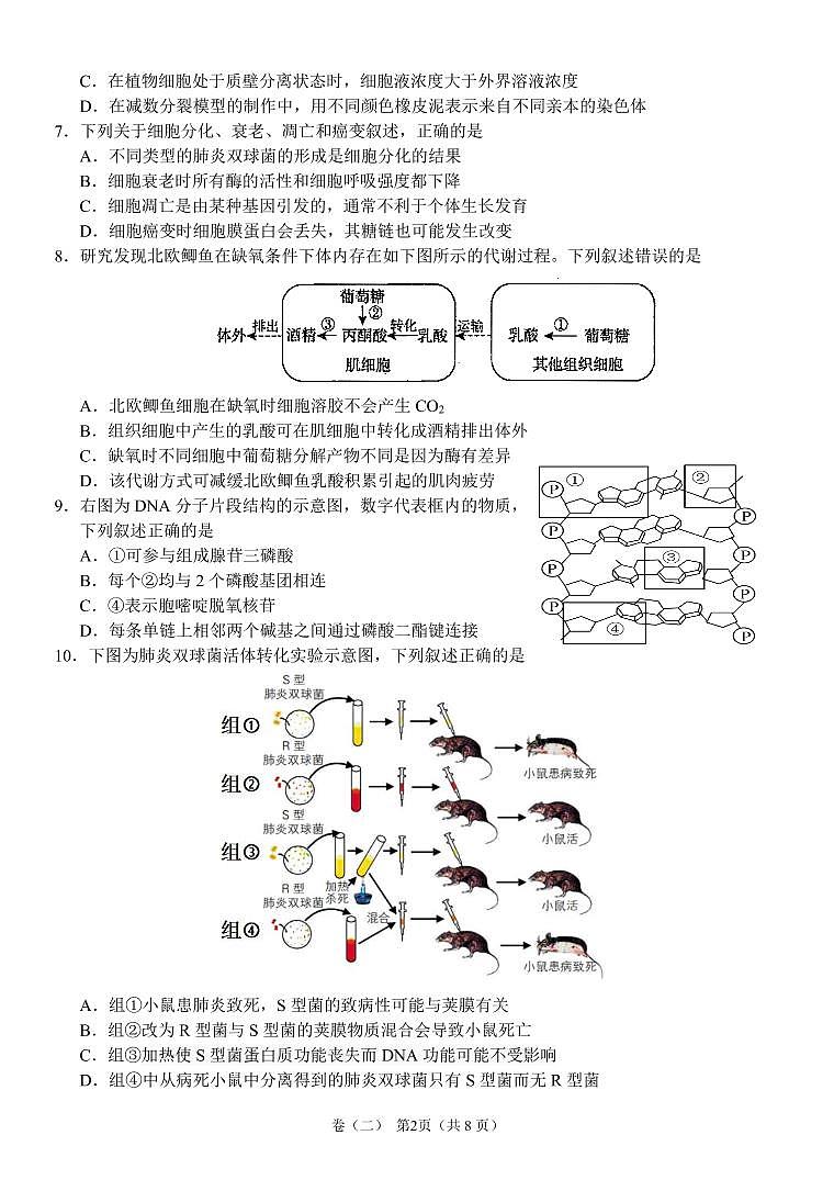 生物试题 第2页