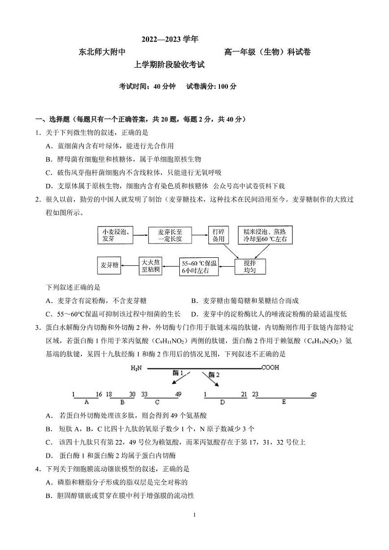吉林省长春市东北师范大学附属中学2022-2023学年高一上学期阶段考试生物试题PDF版无答案第1页