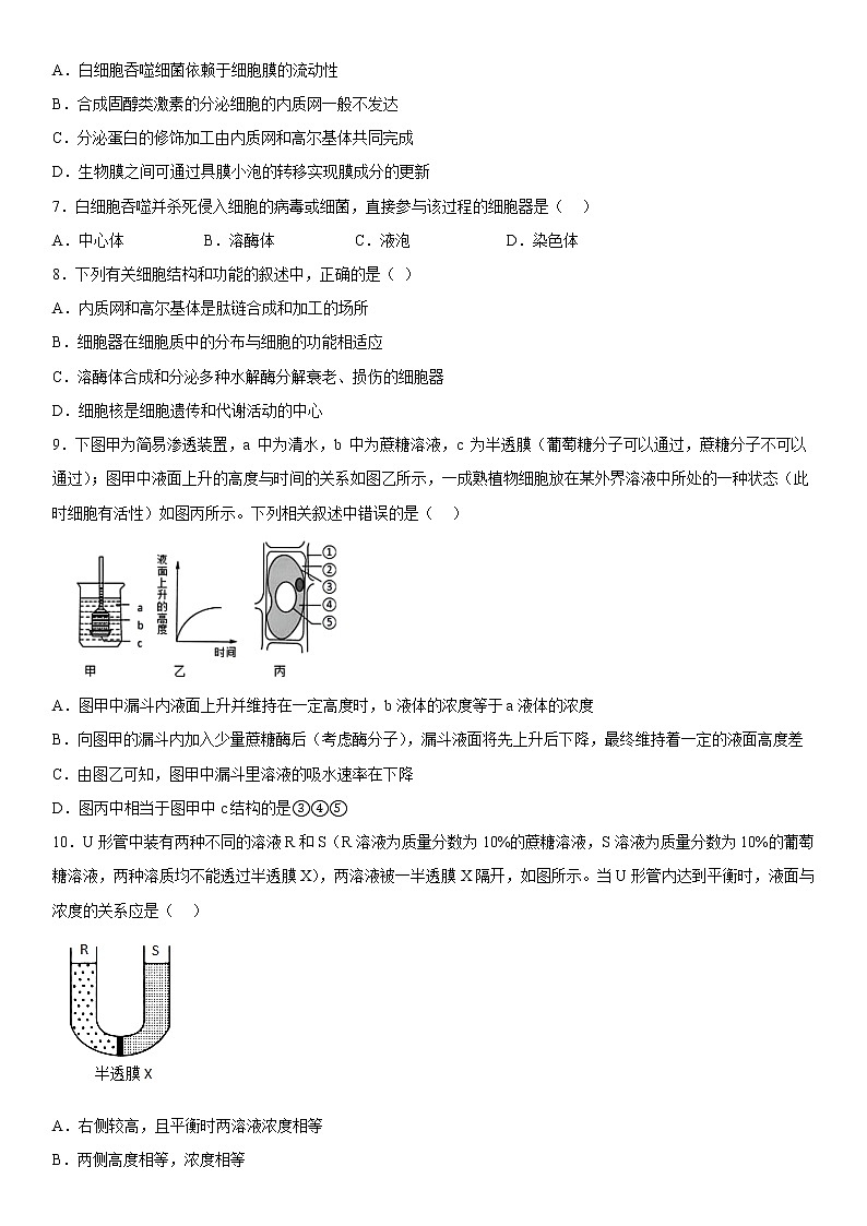 2023西宁湟川中学高一上学期12月月考生物试题含答案02