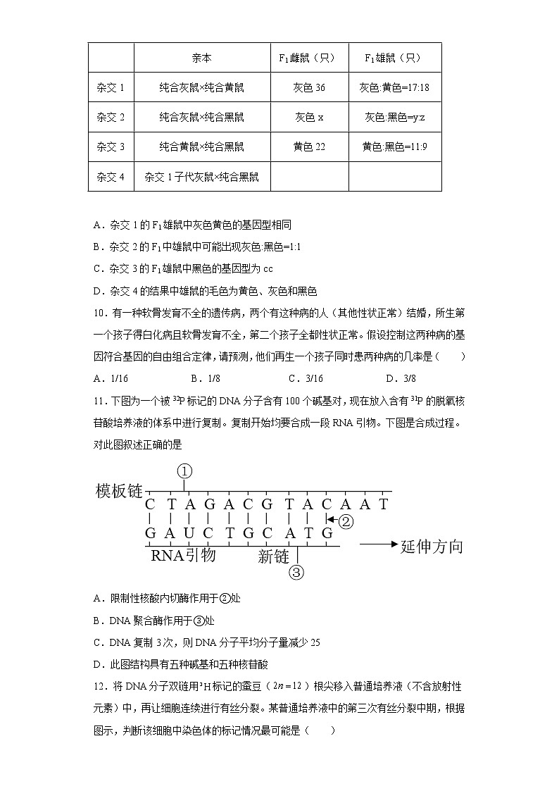 湖南省株洲市第二中学2022-2023学年高三生物上学期12月月考试题（B）（Word版附答案）第3页