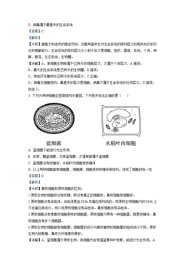 安徽省六安中学2021-2022学年高一生物上学期期末试题（Word版附解析）02