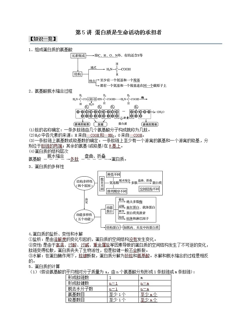 第5讲 蛋白质是生命活动的承担者-【分类归纳】最新高一生物考法和题型分类精讲（人教版2019必修1）01