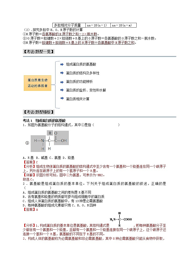 第5讲 蛋白质是生命活动的承担者-【分类归纳】最新高一生物考法和题型分类精讲（人教版2019必修1）02