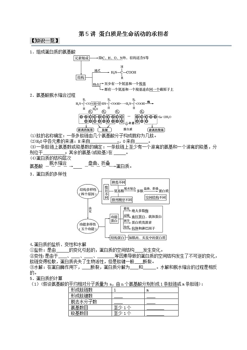第5讲 蛋白质是生命活动的承担者-【分类归纳】最新高一生物考法和题型分类精讲（人教版2019必修1）01