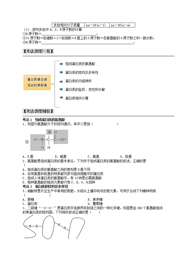 第5讲 蛋白质是生命活动的承担者-【分类归纳】最新高一生物考法和题型分类精讲（人教版2019必修1）02