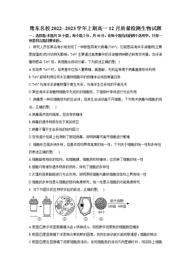 豫东名校2022-2023学年高一生物上学期12月质量检测试题（Word版附解析）第1页