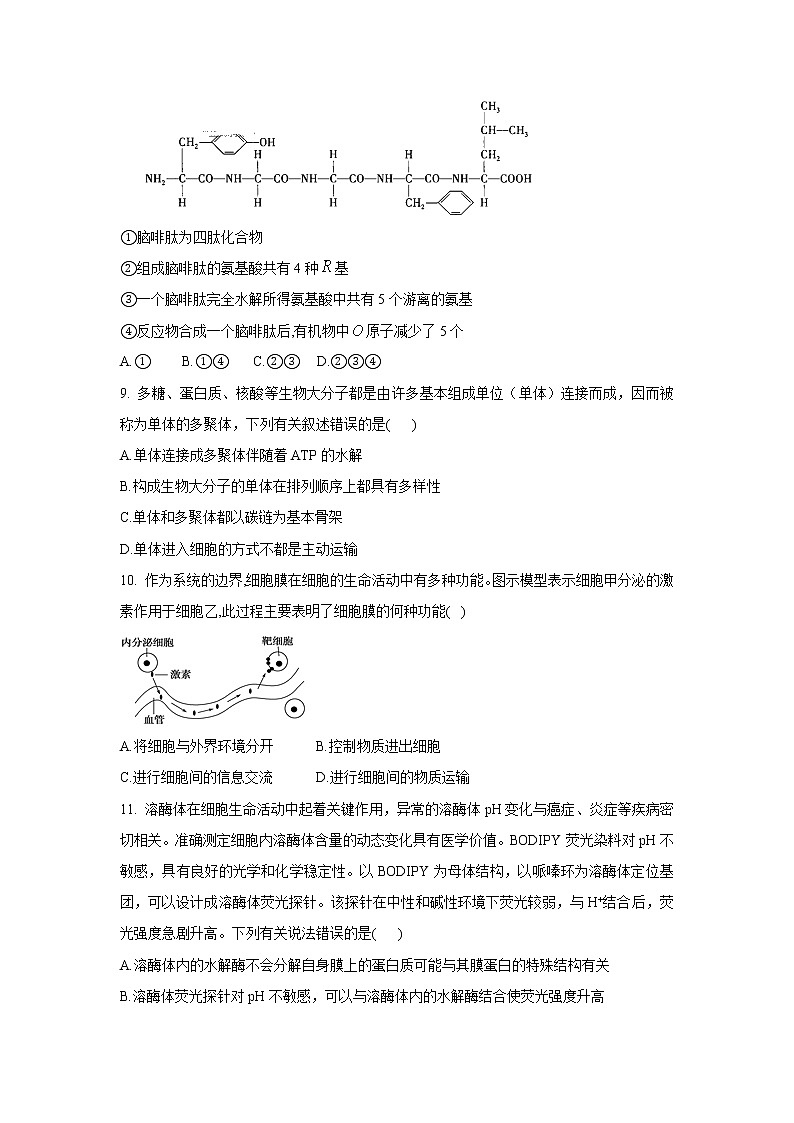 豫东名校2022-2023学年高一生物上学期12月质量检测试题（Word版附解析）第3页