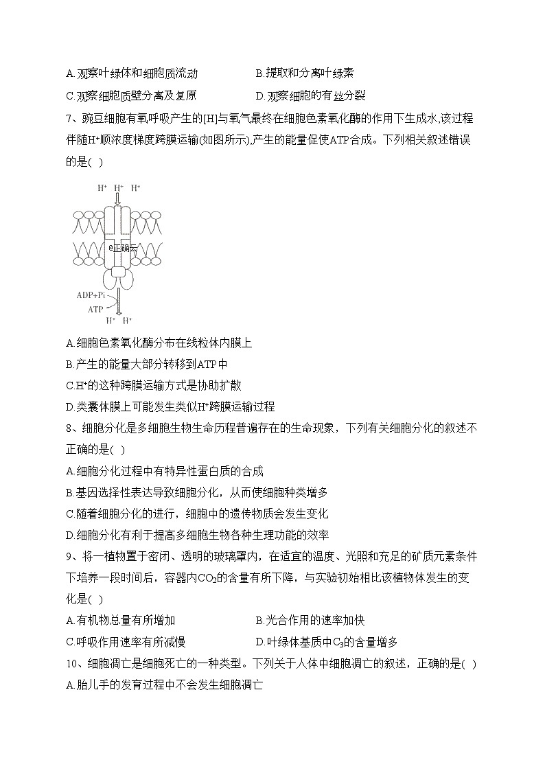 湖南省邵阳市新邵县2021-2022学年高一上学期期末质量检测生物试卷(含答案)02