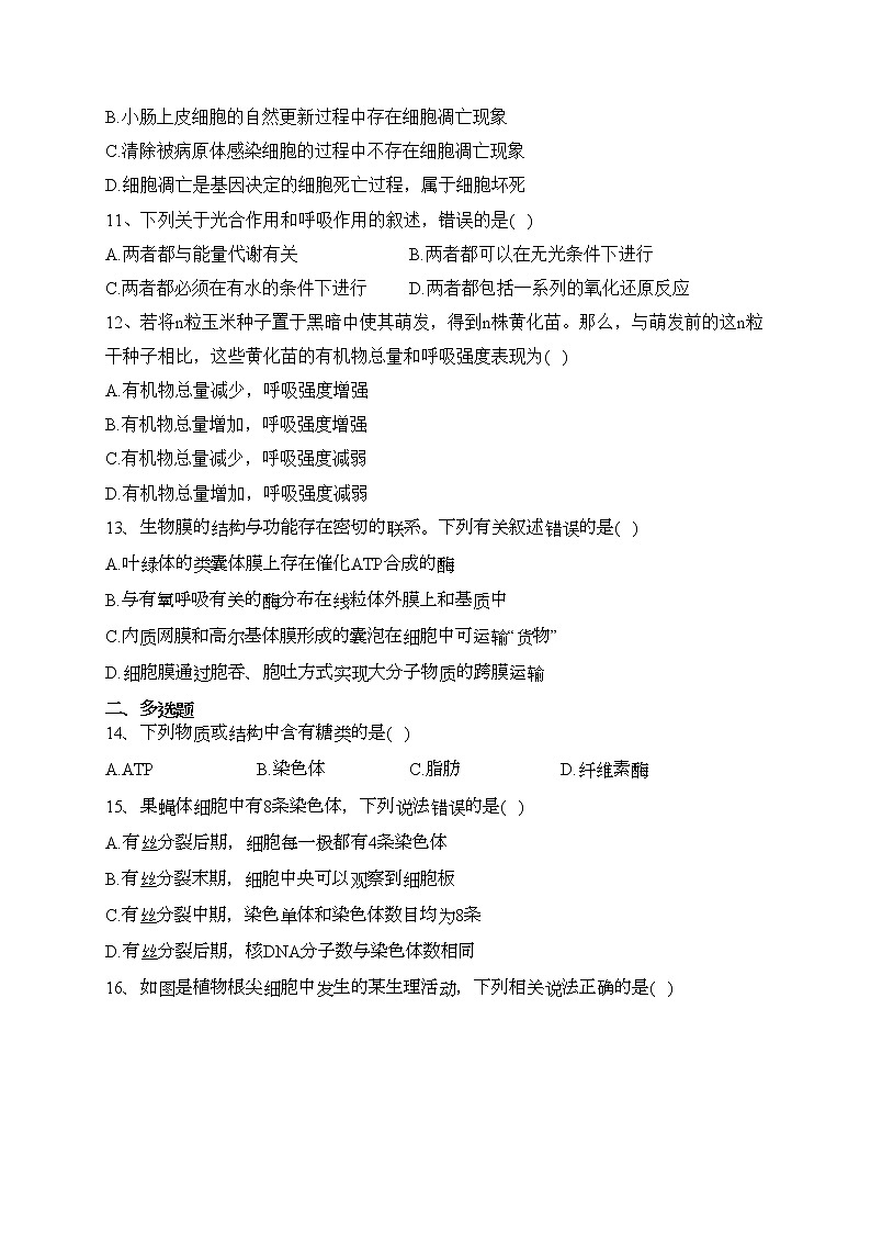 湖南省邵阳市新邵县2021-2022学年高一上学期期末质量检测生物试卷(含答案)03