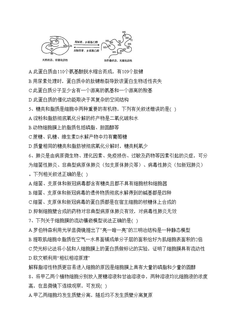 湖南师范大学附属中学2021-2022学年高一上学期期末考试生物试卷(含答案)第2页