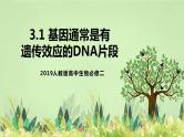【核心素养】人教版高中生物必修二3.4《基因通常是有遗传效应的DNA片段》课件PPT+教案+练习