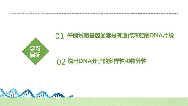 【核心素养】人教版高中生物必修二3.4《基因通常是有遗传效应的DNA片段》课件PPT+教案+练习04