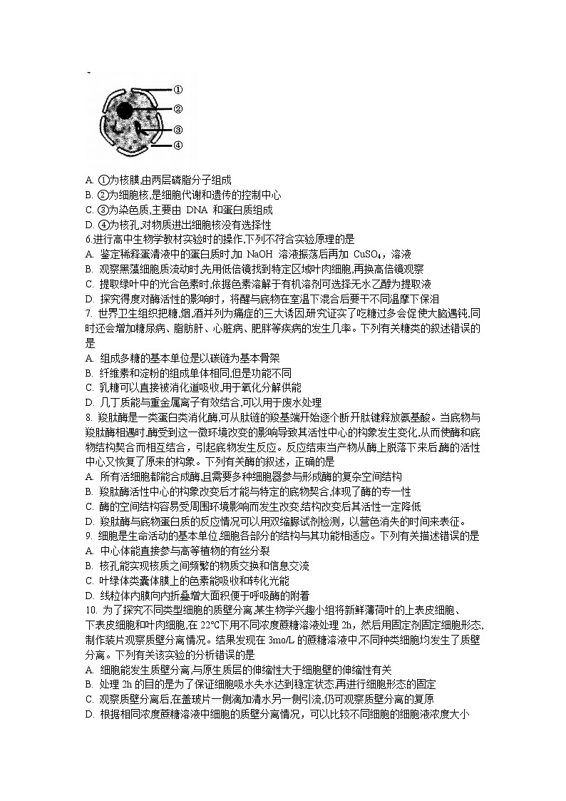2023--河南省（部分地市）新高考联盟高一12月教学质量检测大联考生物02