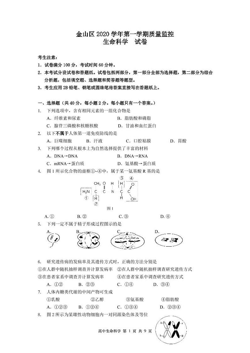2021届上海市金山区高三上学期期末质量监控（一模）（12月）生物试题 PDF版第1页