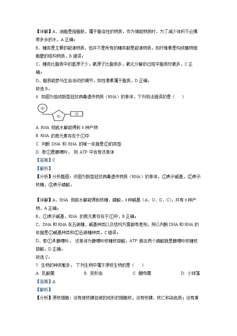 浙江省台州市山海协作体2022-2023学年高一生物上学期期中联考试题（Word版附解析）03