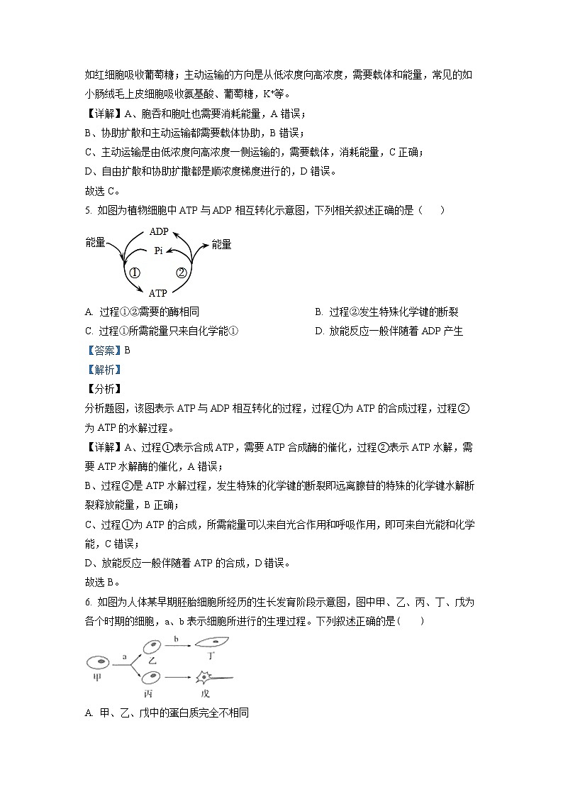 浙江省宁波市咸祥中学2022-2023学年高二生物上学期期中检测试题（Word版附解析）第3页