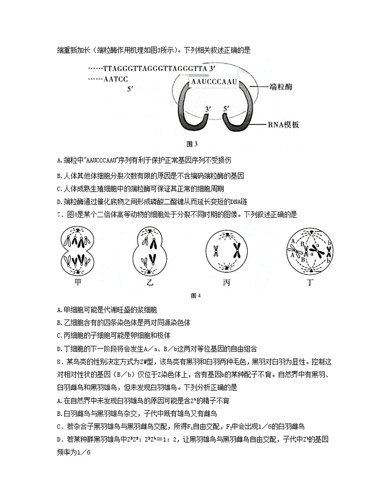 重庆市第八中学2022-2023学年高考生物适应性月考卷（四）试题（Word版附答案）第3页