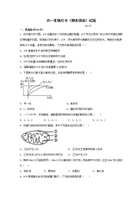 山东省莱西市第一中学2022-2023学年高一生物上学期12月月考（期末模拟）试题（Word版附答案）