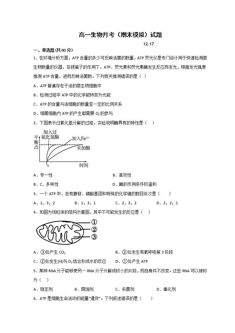 山东省莱西市第一中学2022-2023学年高一生物上学期12月月考（期末模拟）试题（Word版附答案）第1页