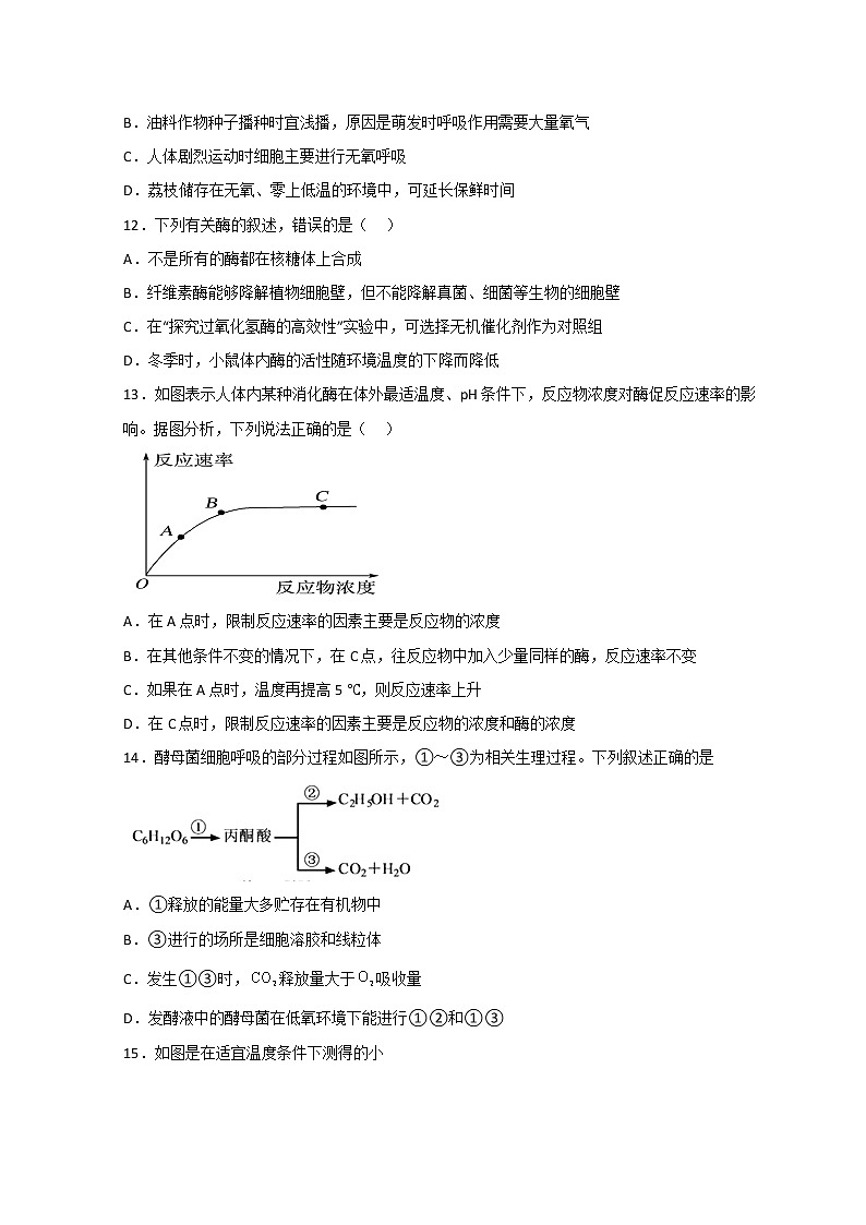 山东省莱西市第一中学2022-2023学年高一生物上学期12月月考（期末模拟）试题（Word版附答案）第3页